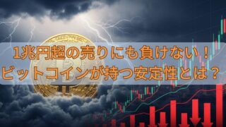 1兆円超の売りにも負けない！ビットコインが持つ安定性とは？ 